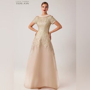 Teri Jon By Rickie Freeman Teri Jon Roll-Neck Organza Gown Metallic Dress Size 2